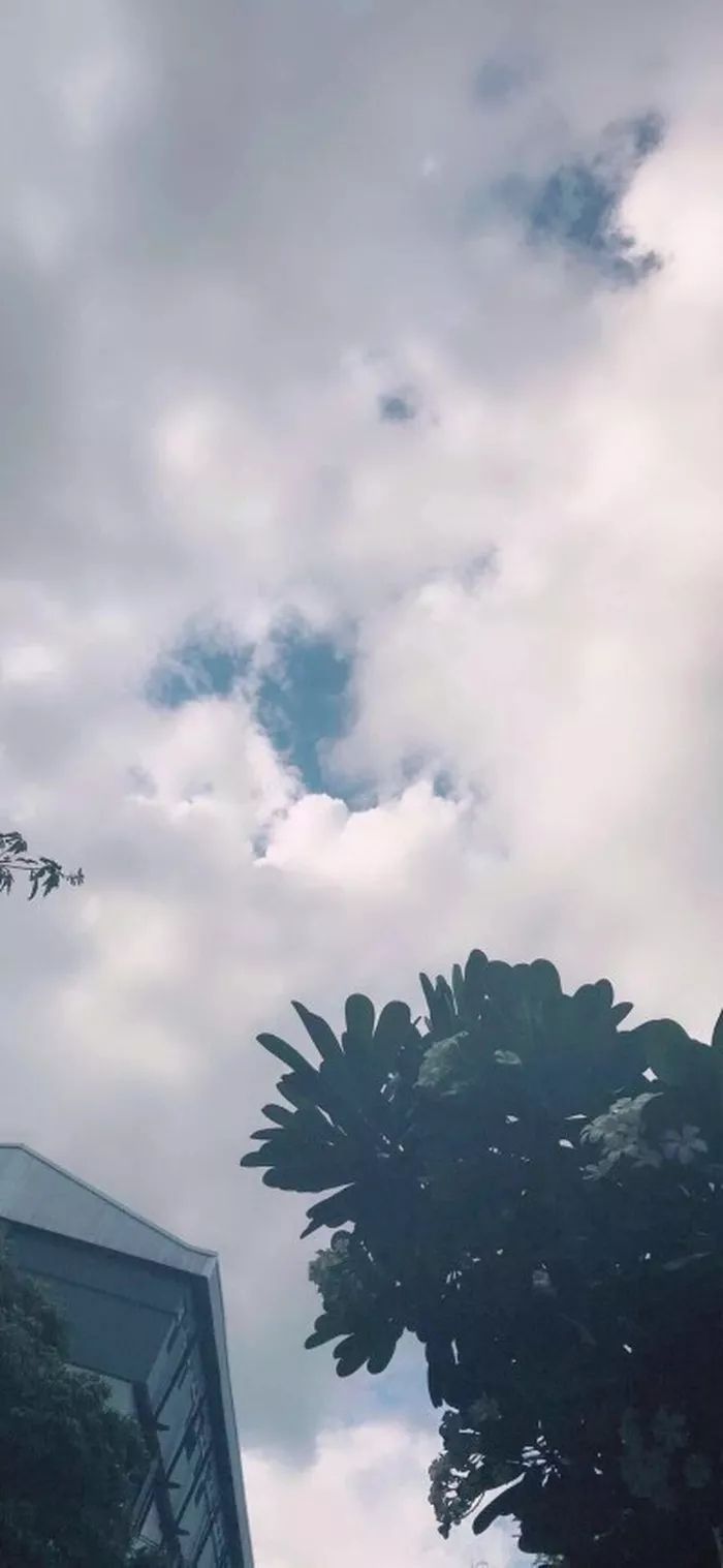 壁纸大全高清手机壁纸,手机壁纸精选高清壁纸