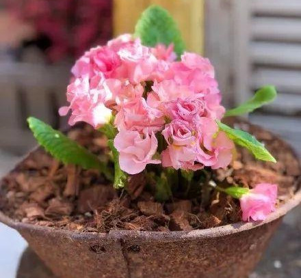 家里破烂太多怎样收纳变废为宝,断舍离清理废物