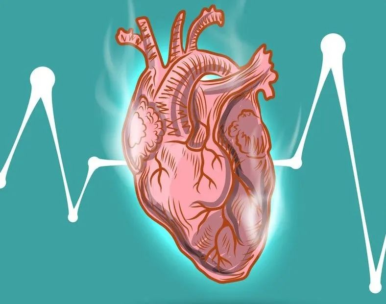 心脏早衰的蛛丝马迹,心脏早衰是心脏病吗