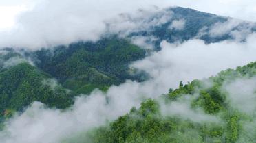 藏不住的宝藏,藏不住了秦岭里的西安宝藏美景