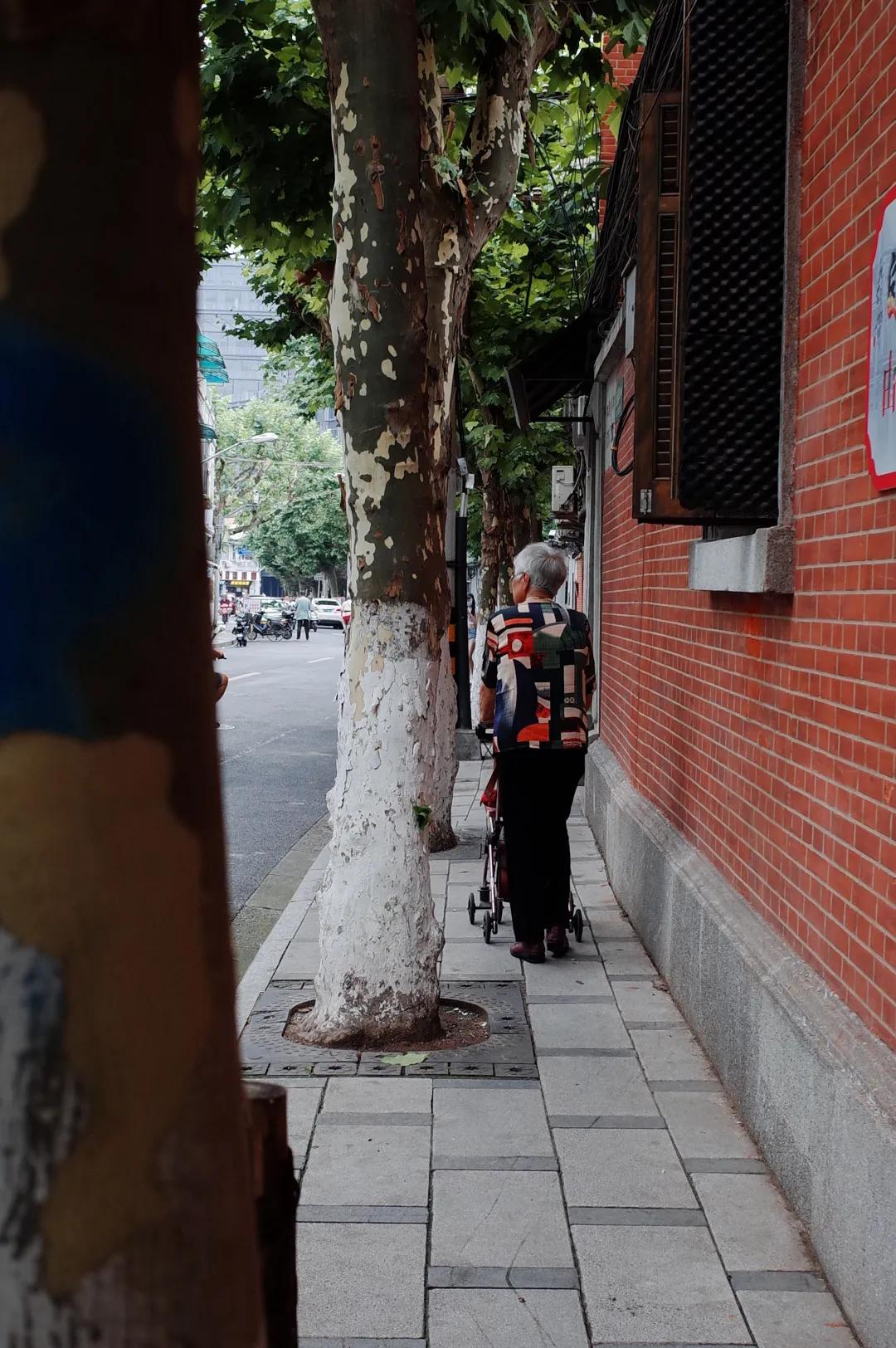 我不许你只是路过上海虹口