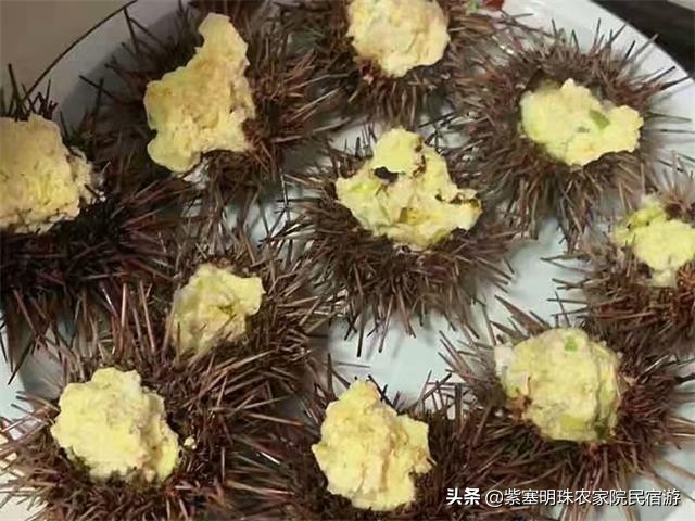 辽宁庄河海王九岛旅游,辽宁海王九岛