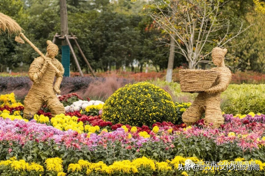 花点时间武汉东湖樱花园,武汉花点时间