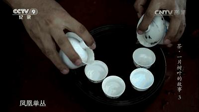 潮汕工夫茶一个人也要倒三杯吗,潮汕喝茶只要三个杯子吗