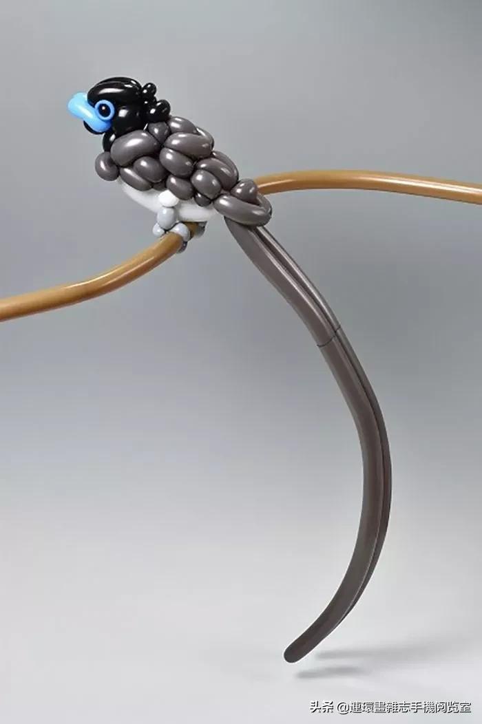 长气球的天鹅编法,天鹅气球编法