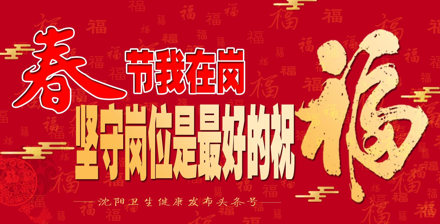 春节我在岗守护群众平安回家路,春节我在岗忠诚履职守护万家灯火