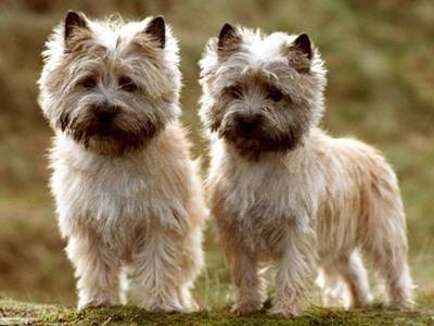 photoshopcs5怎么抠图,adobephotoshop抠图