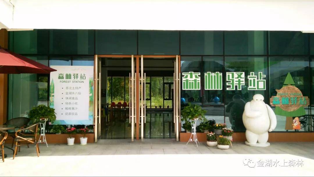 亲子游推荐地金湖水上森林景区,金湖水上森林景区攻略视频
