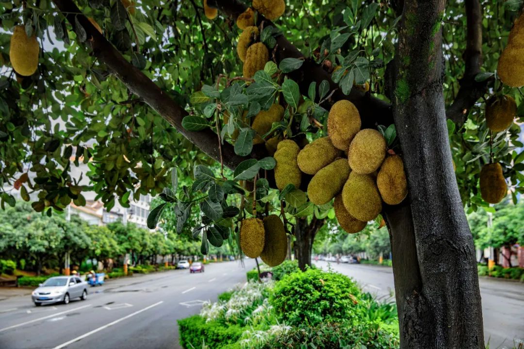 云南旅游最便宜的机票,云南旅游机票最便宜的时候