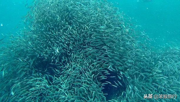 东南亚迎来开岛季！6K+预算3座避世海岛，跳岛10日过暖冬