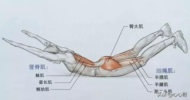 翘臀网红*规则潜**曝光,美好肉体崩塌了....