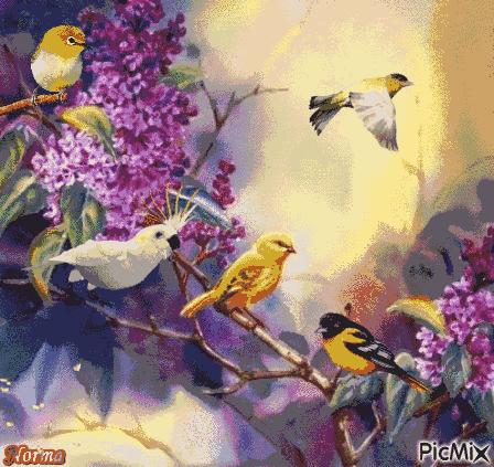 林子大了什么鸟都有正能量,林子大了什么鸟都有凡事别太当真