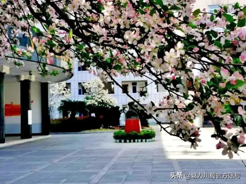 绵阳南山中学办学理念,家长评价绵阳南山中学真实水平