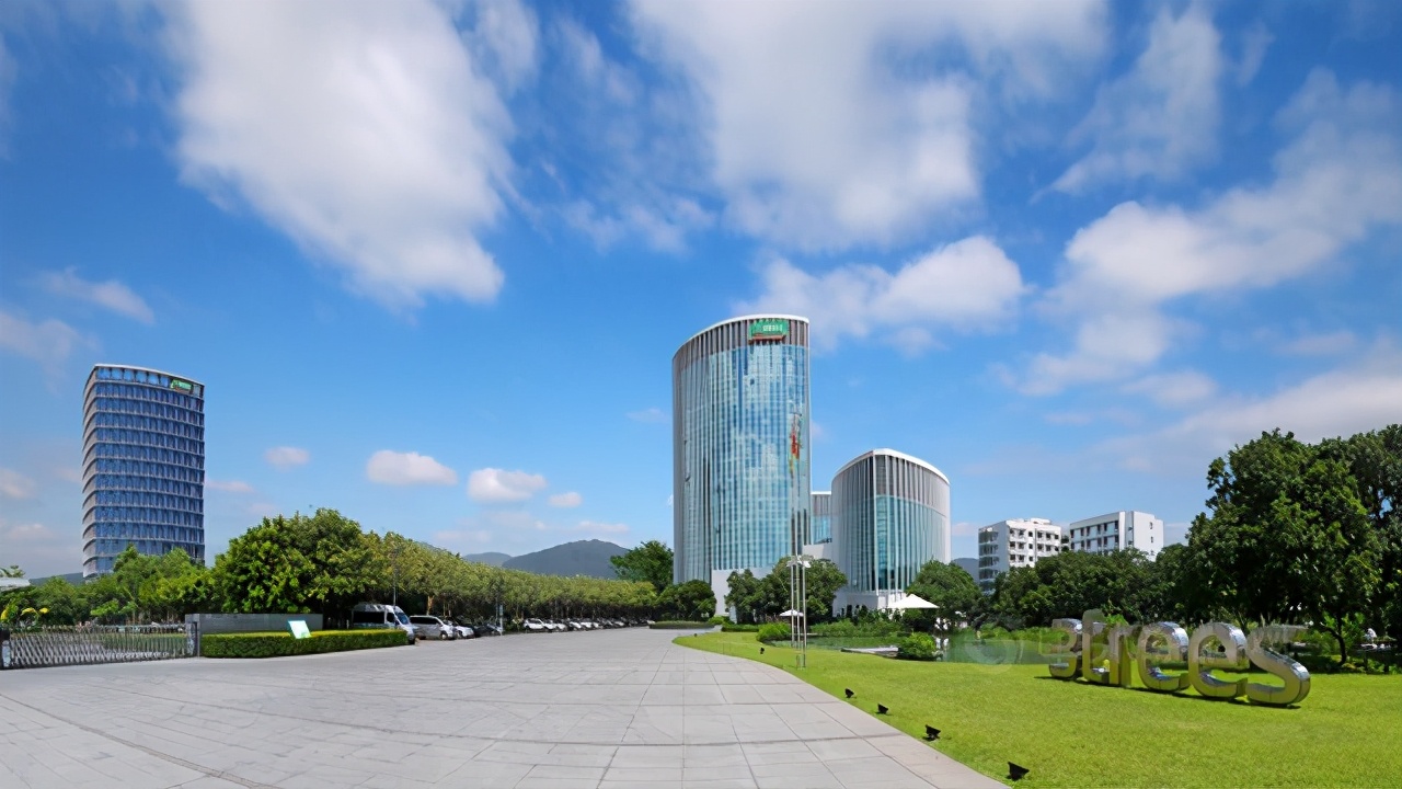 三棵树为何股价强势,市值暴涨3400亿