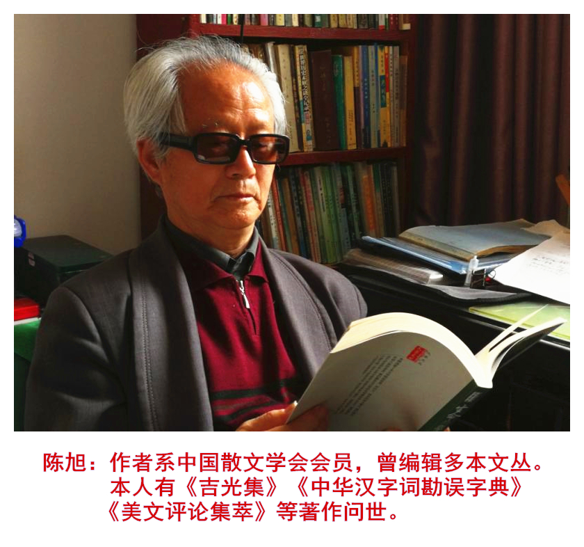 「美文美评」陈旭——吕秀彬《浴火涅槃，方能凤凰来仪》析