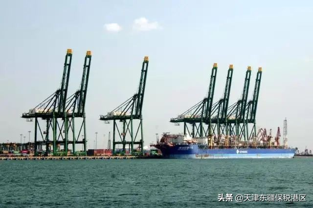 中外海运龙头东疆“箱”遇，达飞陆通落地