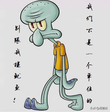 鱿鱼章鱼乌贼墨鱼同属一个科吗,鱿鱼章鱼乌贼的区分