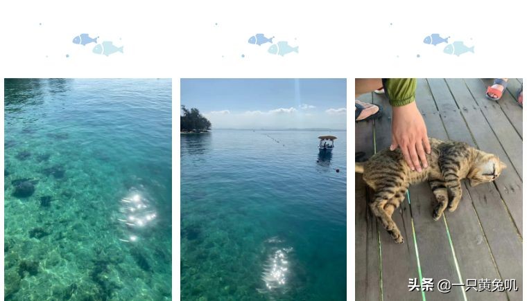 美人鱼之乡，速成老司机专场