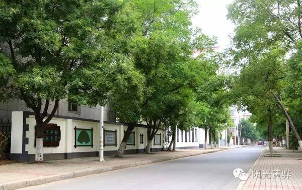 一座美丽的黄骅城市,黄骅的城市