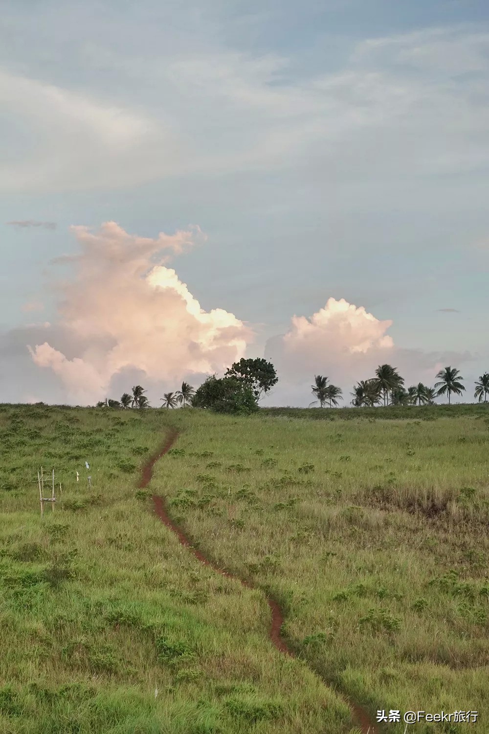 最不想分享的小众海岛,小众海岛旅行