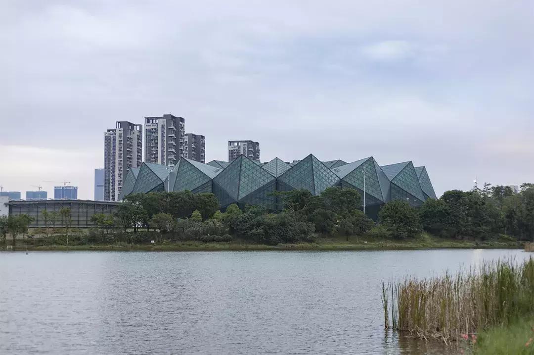 龙岗地标大厦,龙岗未来地标建筑在哪个地段