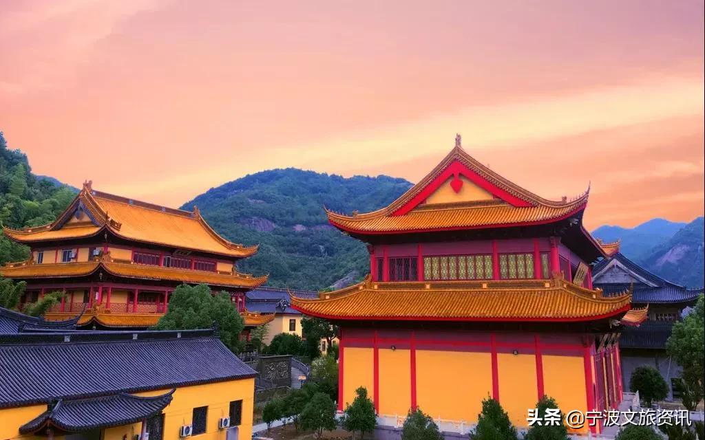 新桥玩的地方,新桥有哪些可以游玩的地点