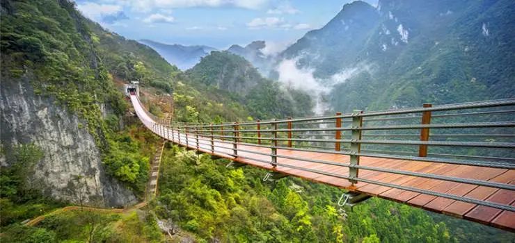 张家界土家永顺茶好不好,湖南永顺县生产的什么茶