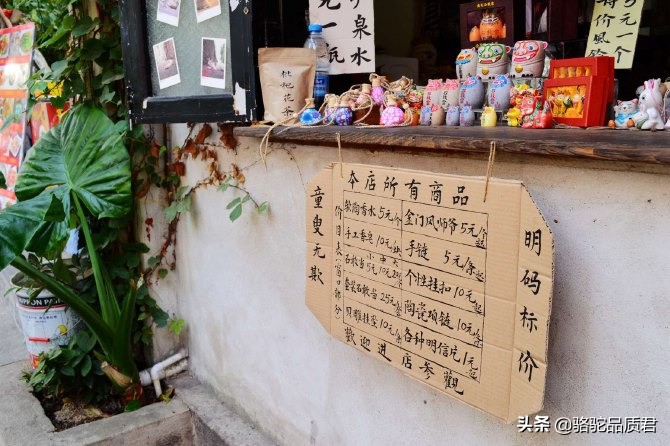 厦门海边之旅,厦门小众旅游体验