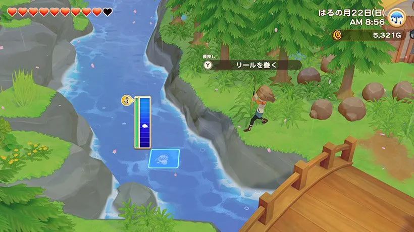 黑五打折必买的东西,黑五特价超值