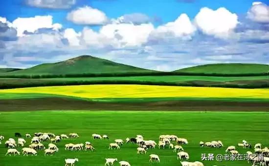 湖南长沙特产送人一览表,广东各地特产一览表