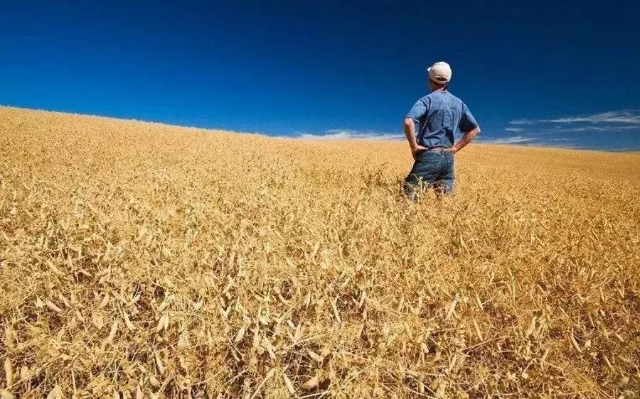 农民落户城市后农村土地如何处理,城镇化后土地归谁