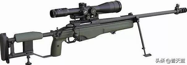 世界十大现役*击狙**步枪！