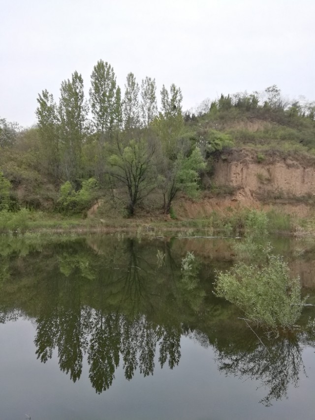 郑州树木园最新视频,郑州树木园现状