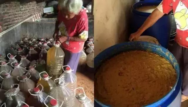 酵素肥料如何使用到果树上,农用环保酵素在果树上的使用方法