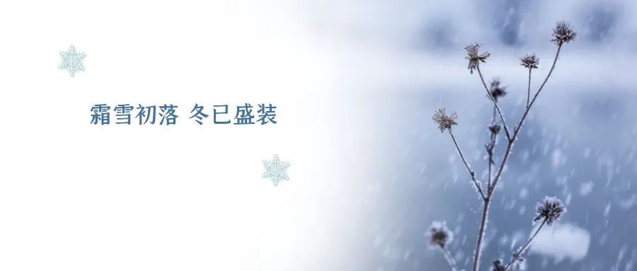 小雪唱的哪首歌最好听,小雪唱的关于雪的歌