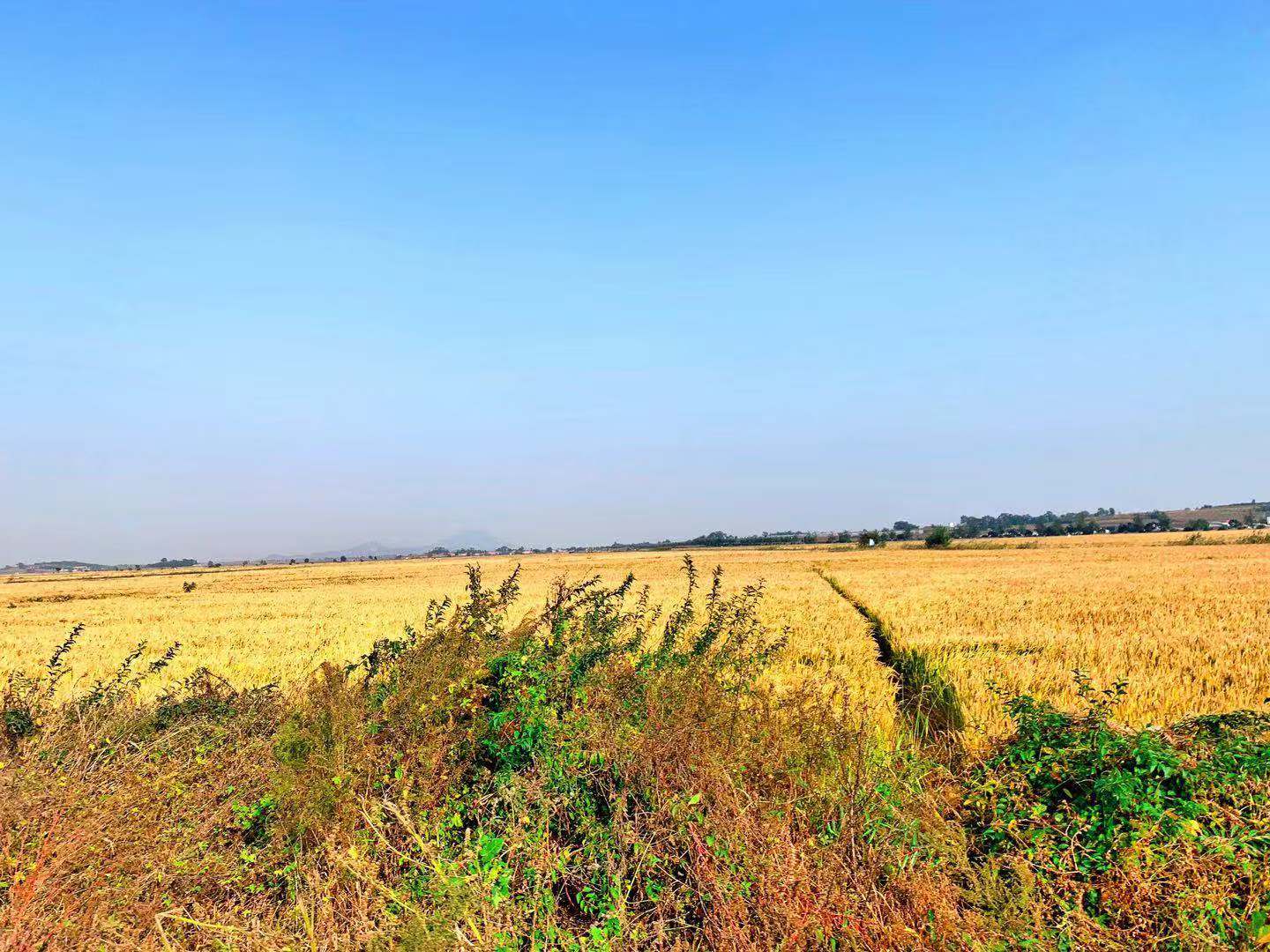 农村7岁小孩在做什么,7岁男孩回家玩什么