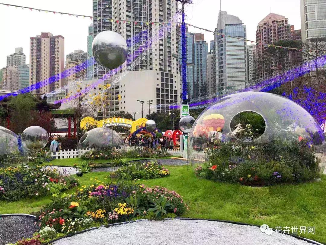 共赴盛会活动,香港国际花卉展