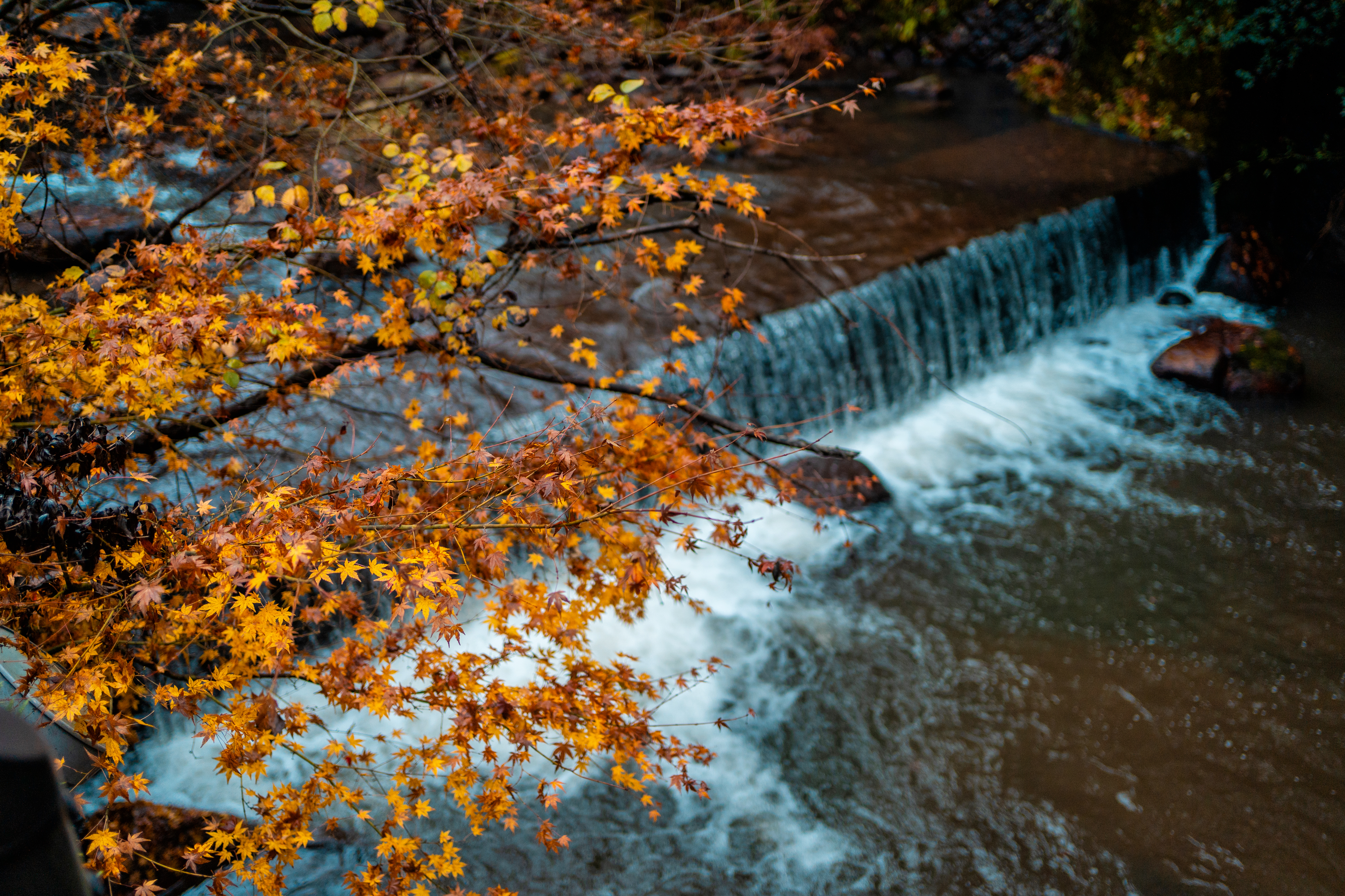 日本九州温泉城市,日本九州岛温泉