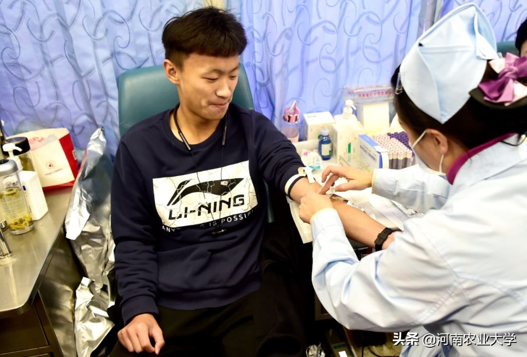 大爱丨228150毫升！农大人的热血让这个冬日温暖如春