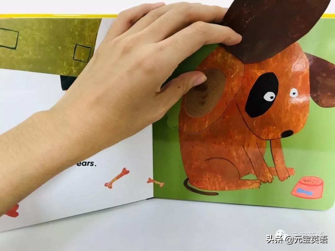 英语启蒙课测评,英语启蒙早教零基础测评