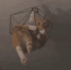 揭秘互联网比较常见的网赚骗局,知识分享割韭菜新套路