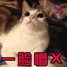 2021年外地户口在江门买房,江门买房子需要什么条件才能买