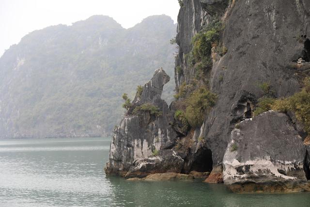这里虽然风景如画人们生活的却很凄惨没日没夜的追着大船讨生活