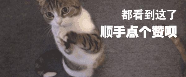 猫咪鼻子上的黑点怎么去掉,猫咪鼻子上有黑痣怎么去掉