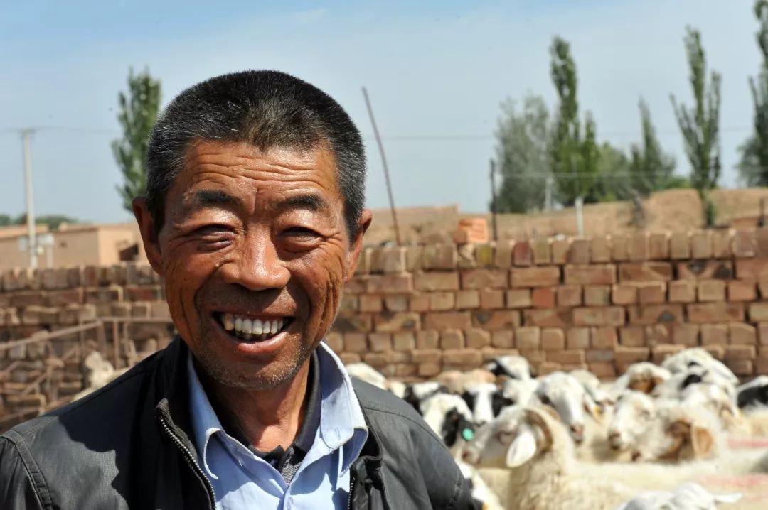 内蒙羊肉与盐池滩羊肉,新疆羊肉和盐池滩羊肉