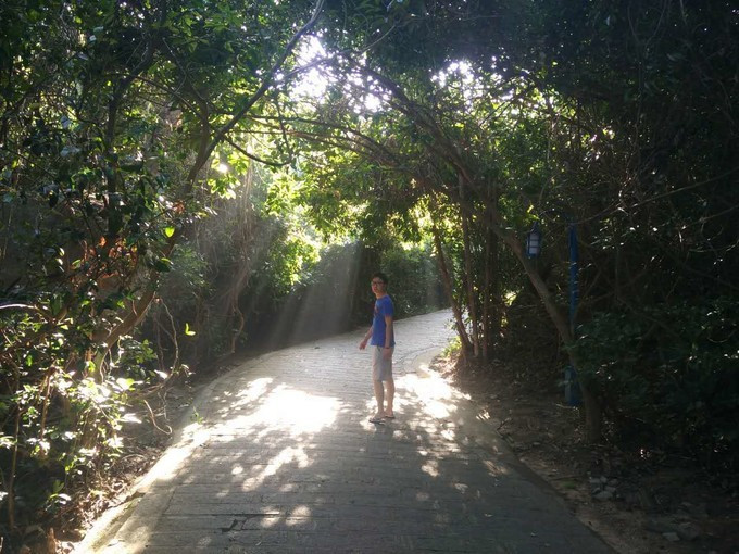 三亚3天2晚纯玩团,三亚2天3晚攻略