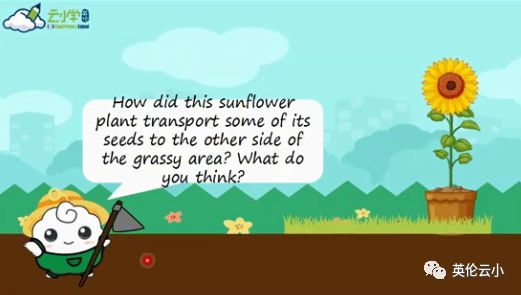 植物传播种子的方法有哪些二年级,我知道植物传播种子的方式有哪些