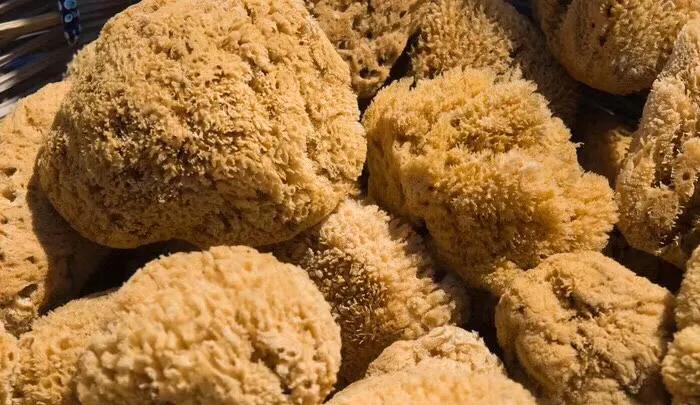 每天都要与大海亲密接触,夏天就应该和大海亲密接触