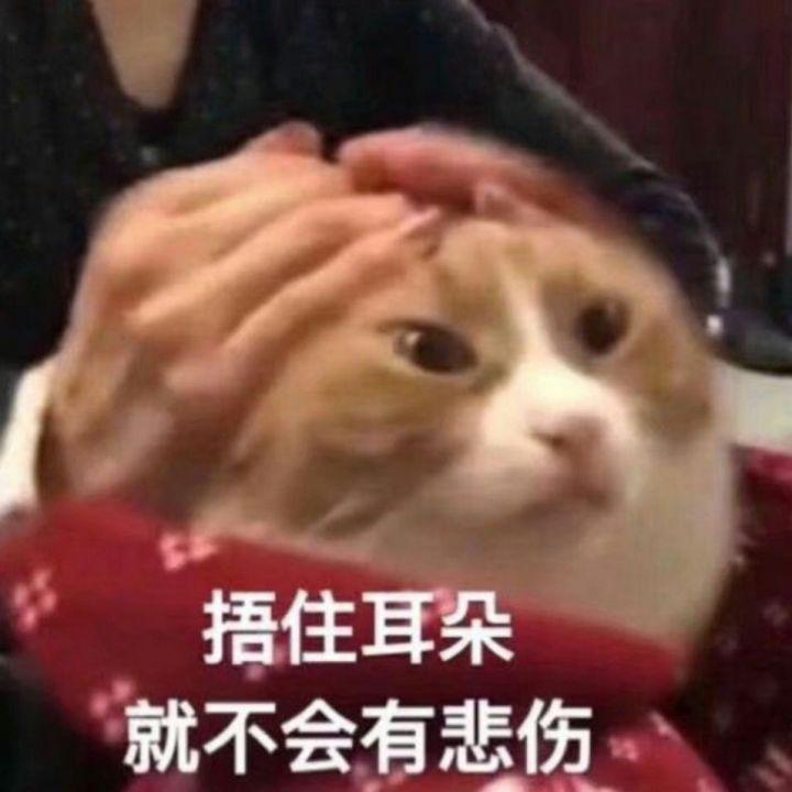 在直播间买的投影仪发现不值,直播间买的投影仪靠谱吗