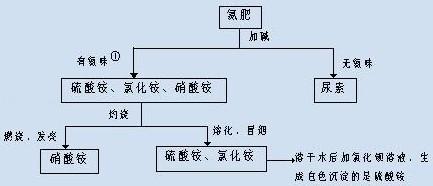 初三化学盐与化肥教学视频,化学第十一单元盐化肥知识点总结